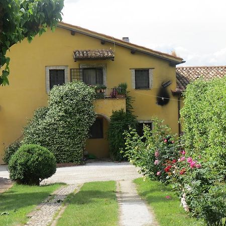 Il Gelso Nero Villa Castelnuovo di Farfa Exterior photo